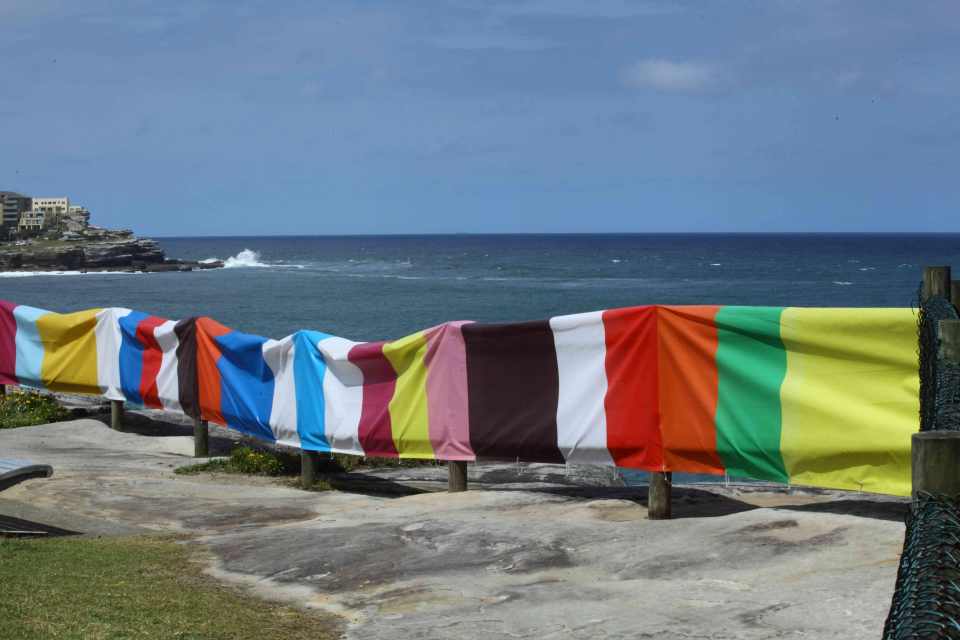 Banner-Bondi-closeup-w-ocean-low-res